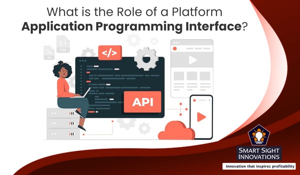 What is the Role of a Platform Application Programming Interface ...
