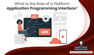 What is the Role of a Platform Application Programming Interface