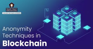 Anonymity Techniques in Blockchain
