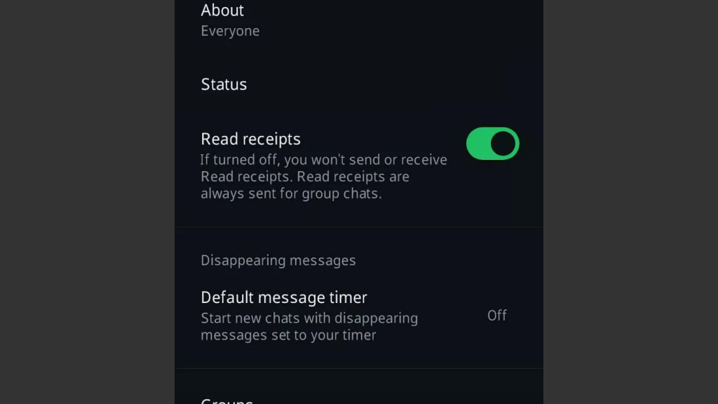 Read Messages Without Blue Ticks