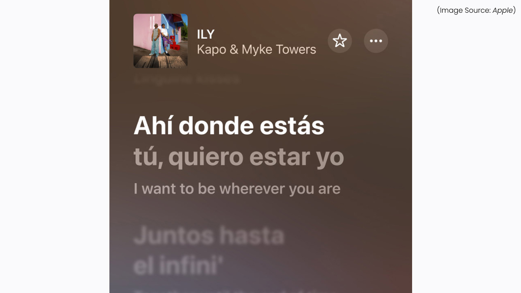 AutoMix and Lyrics Translation