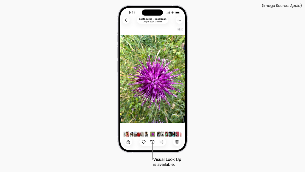 Identify Plants, Animals, and Landmarks