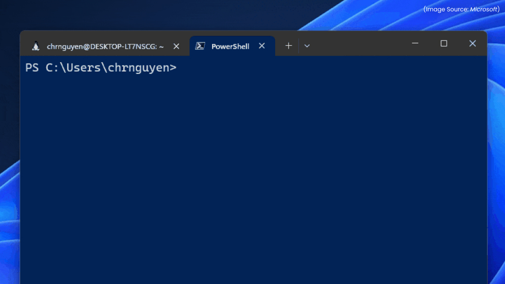 How to Enable or Disable Optional Features Using Windows Terminal