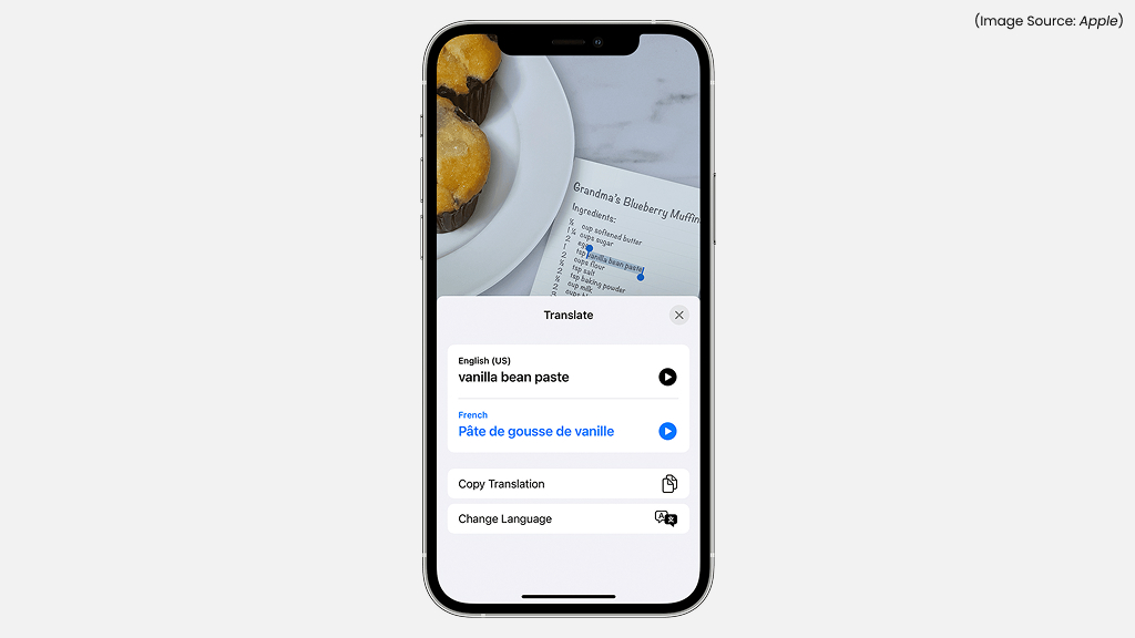 Copy or Translate Text