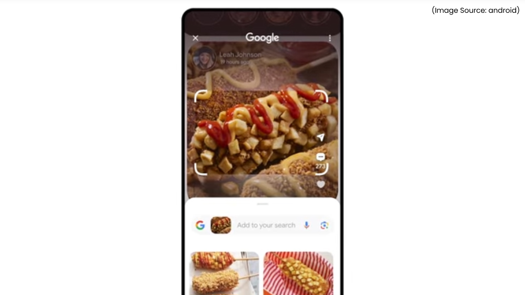 Privacy and Data Considerations