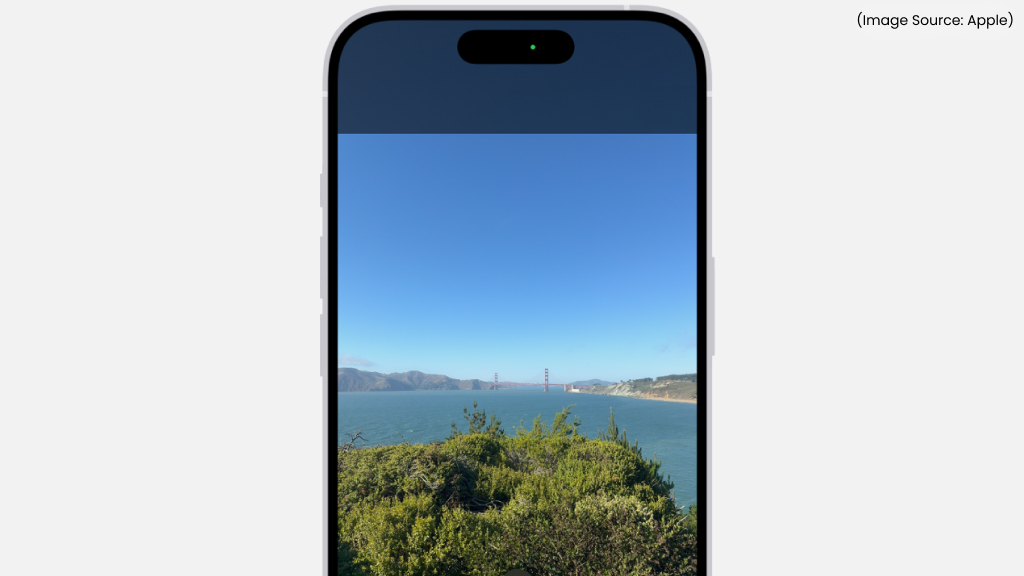 Test the Camera in Another App